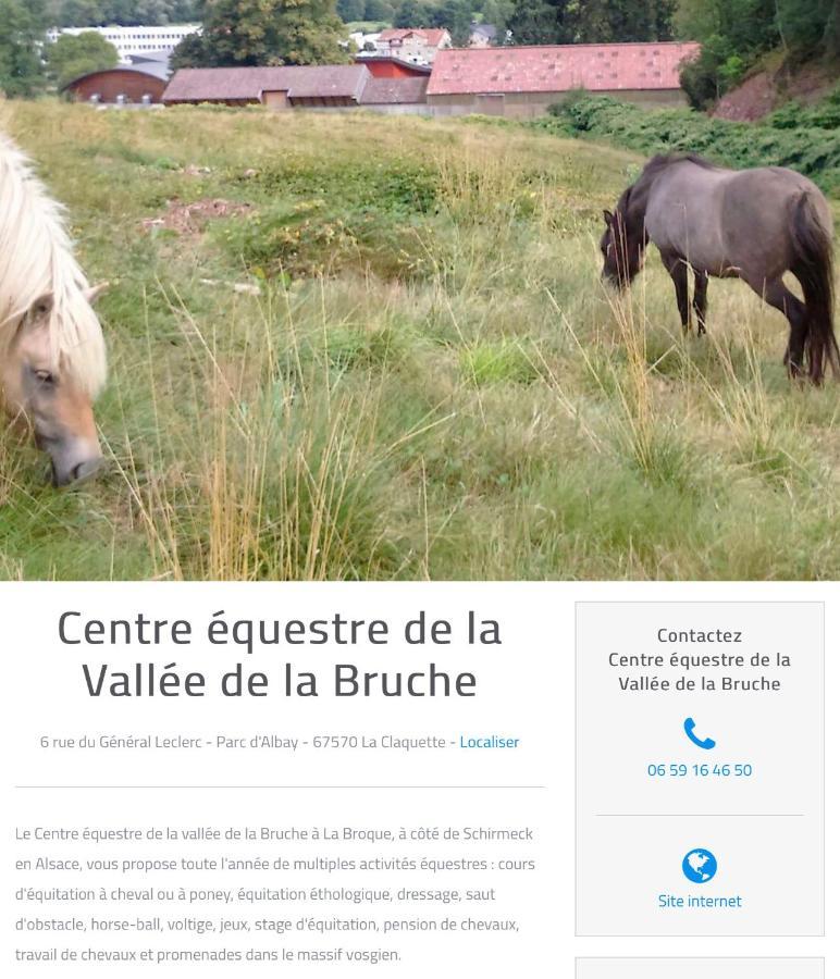 Le Gite Du Chateau Dans Le Centre De Schirmeck Exteriér fotografie